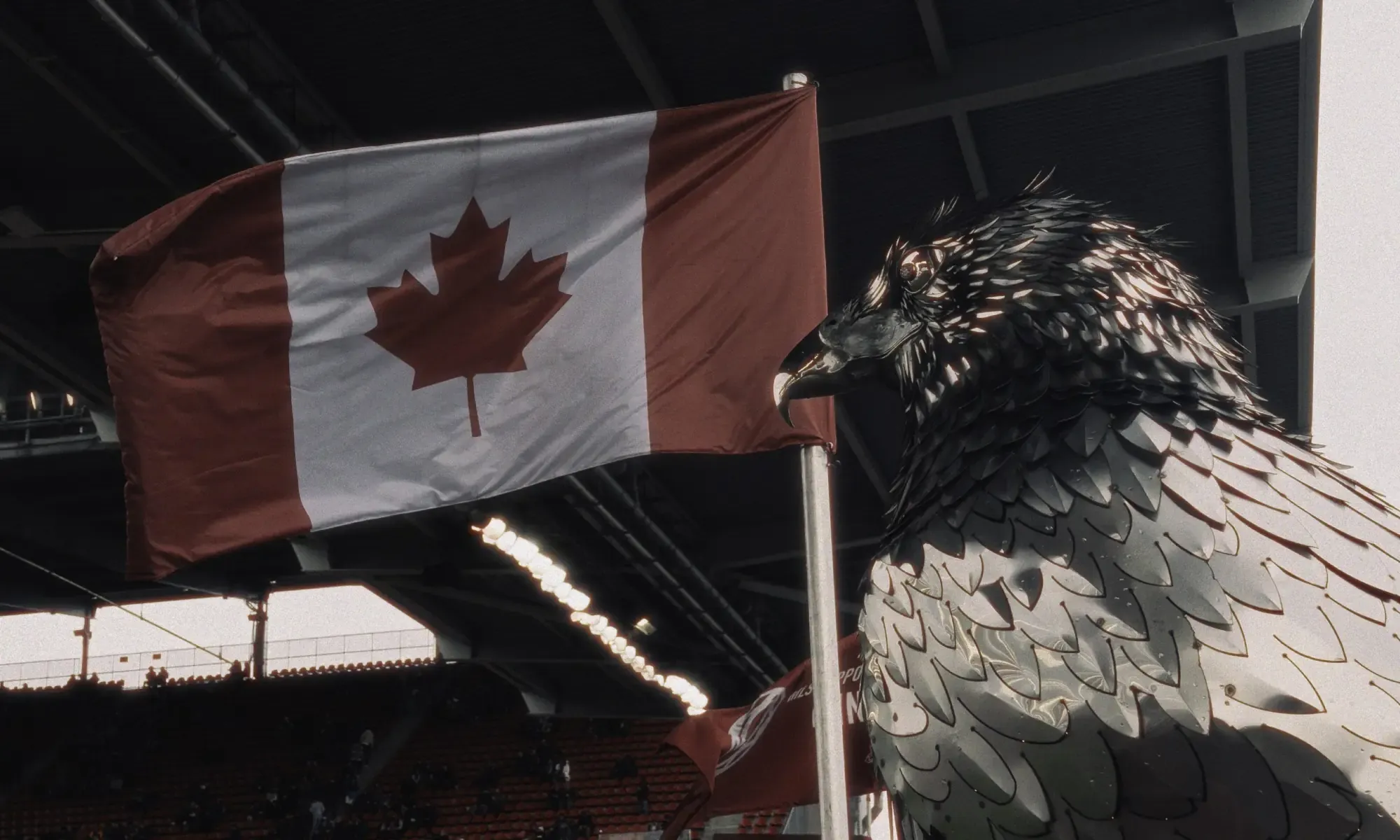 A giant metal statue of a Hawk on display as the latest addition to the South End stand at BMO Field, home of Toronto Football Club. The statue is an homage to Bitchy the Hawk, a TFC original, and the club's unofficial mascot.